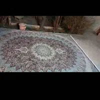 فروش فرش|فرش|بافت, |دیوار