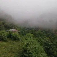شمال گردی
