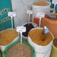 انواع حبوبات لوبیا چیتی لپه برنج|خوردنی و آشامیدنی|اصفهان, ابر|دیوار