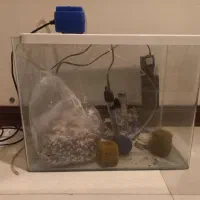 آکواریم  سالم و تکمیل