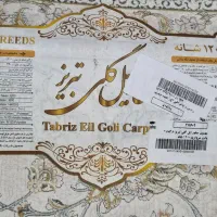 یک تخته فرش 9متری 1200شانه|فرش|تهران, گلچین|دیوار