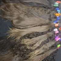 نیازمند یک خانم برای مرتب کردن مو