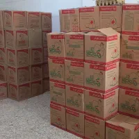 پخش تخم مرغ کاظمی
