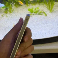 آیفون ۴ کلکسیونی|موبایل|مریوان, |دیوار