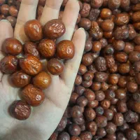 مستقیم از تولیدکننده عناب زرشک کشک مشتی و رشتهای|خوردنی و آشامیدنی|مشهد, نوید|دیوار