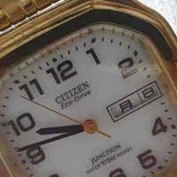 سیتیزن اکودرایو اورجینال