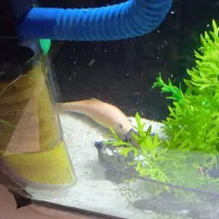 تصفیه اب اکواریوم