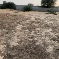 زمین زراعی میناب روستای جوزان