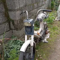 براوو .چوب ماهیگیری.. قلیان