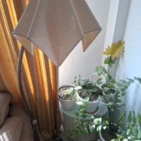 آباژور تمیز