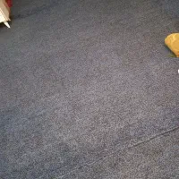 سی متر موکت درحدنو