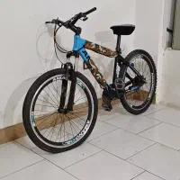 دوچرخه آمانو