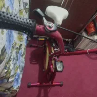 دوچرخه ثابت ورزشی|تجهیزات ورزشی|ارومیه, |دیوار