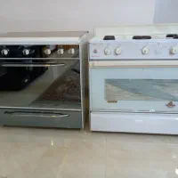 دو عدد گاز سالم مارک آبسان