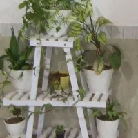 پایه گل