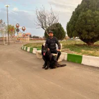 سگ ژرمن بلک