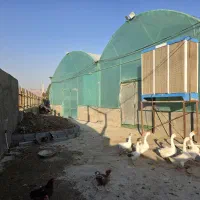 دوعددخنک کندن برای گلخانه