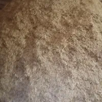 کاه گندم|لوازم جانبی حیوانات|اشترینان, |دیوار