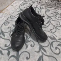 کفش|کیف، کفش، کمربند|سنقر, |دیوار