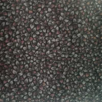 چادر رنگی شیک و جدید با گل ریز