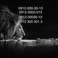 خط رند 0912 کد 3