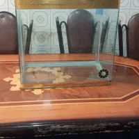 آکواریوم شیشه خم