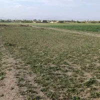 زمین