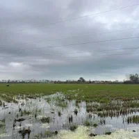 تا دو ماه دیگه مال شما نیست اگر امروز تصمیم نگیرید|فروش زمین و ملک کلنگی|آستارا, |دیوار