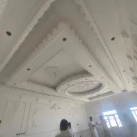 استاد راویز کار