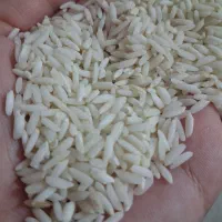 برنج سالم علی کاظمی