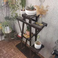 استند گل با تعدادی گل به فروش میرسد|گل و گیاه طبیعی|شیراز, منطقه هوایی شهید دوران|دیوار