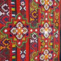 زی استین ۵گل