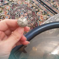 انگشتر نقره سیاه قلم|جواهرات|خرم‌آباد, |دیوار