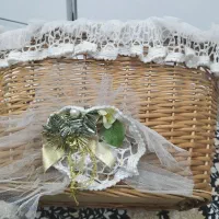 سبد حصیری|ظروف نگهدارنده، پلاستیکی، یک‌بارمصرف|زنجان, |دیوار