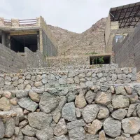 زمین سانیج