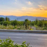 زمین-بر-خط-اصلی