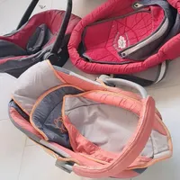 دوتاکریرودوتاساک حمل نوزاد