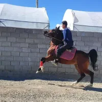 نریون درهشور