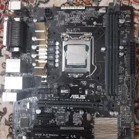 h81.v3 asus