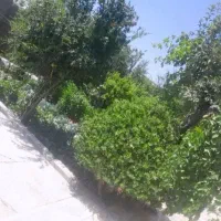 کمپ ترک اعتیاد.فردیس.شهریار.رباط کریم.اسلامشهر