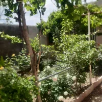 اجاره خانه ویلایی در گلزار قریت العرب