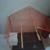 قفس پرنده|لوازم جانبی حیوانات|قرچک, باقرآباد|دیوار