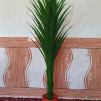 درختچه مصنوعی آلوورا طبیعینما ۱۲۰ سانت|گل مصنوعی|رامشیر, |دیوار