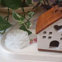 اکسسوری های مینیمال