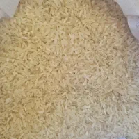 لاشه برنج فجر سوزنی گرگان