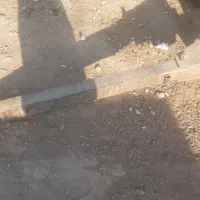 دیکس برزیلی