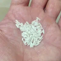 برنج