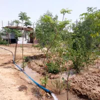 فروش ۶۲۰ متری در خاوران|فروش دفتر صنعتی، کشاورزی، تجاری|تهران, خاوران|دیوار