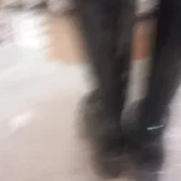 چکمه|کیف، کفش، کمربند|فولادشهر, B5|دیوار