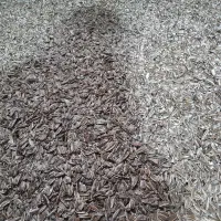 تخمه|خوردنی و آشامیدنی|نیشابور, دربقاضی|دیوار